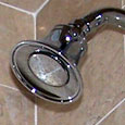 choice-plumbing-showerhead